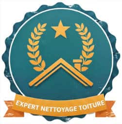 expert nettoyage toiture dans les yvelines icones